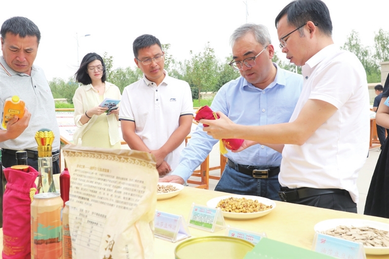 河南如何点“豆”成金 科技支撑油莎豆产业高质量发展
