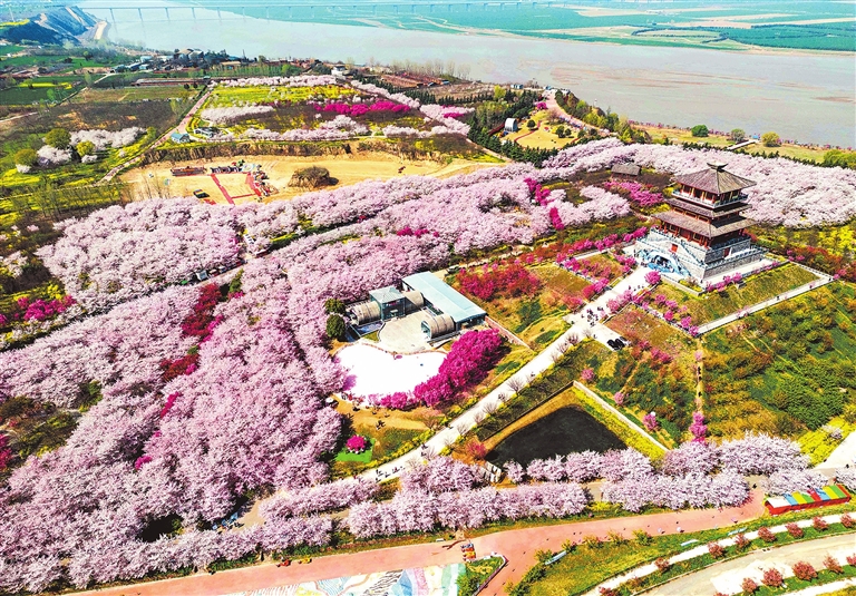 探寻“中国色” 漫步繁花间